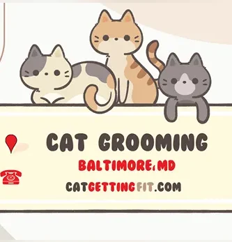 cat grooming near Baltimore, MD