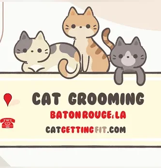 cat grooming near Baton Rouge, LA