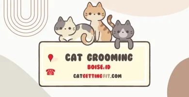 cat grooming near Boise, ID