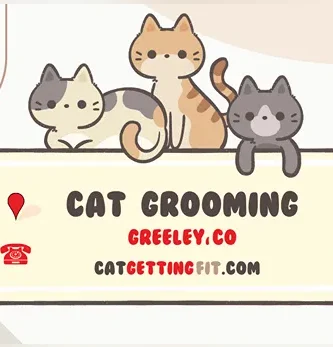 cat grooming near Greeley, CO