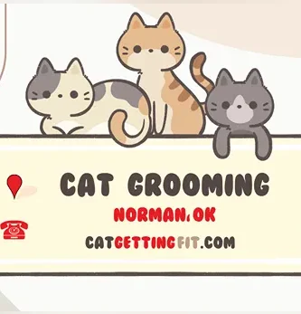 cat grooming near Norman, OK