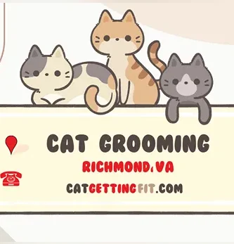 cat grooming near Richmond, VA