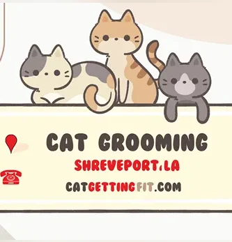 cat grooming near Shreveport, LA