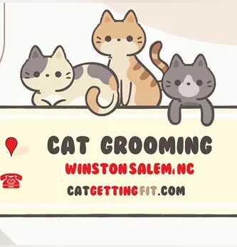 cat grooming near Winston Salem, NC